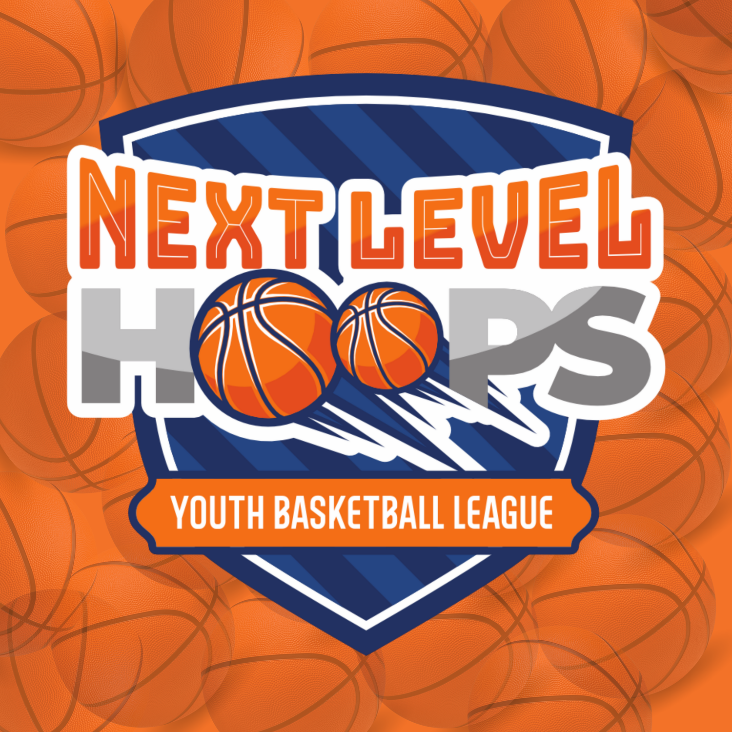 NEXT LEVEL HOOPS